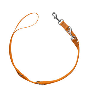 Lot HUNTER London : collier + laisse