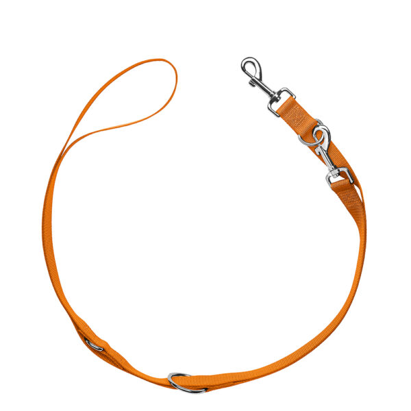Lot HUNTER London : collier + laisse