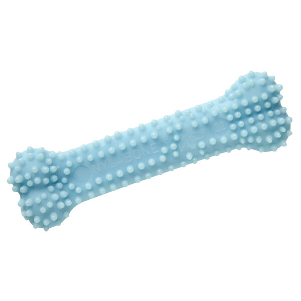 Jouet Os Nylabone Dental XS pour chiot - L 9