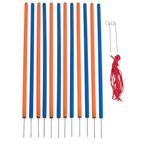 Kit complet Agility pour chien Fun & Sport