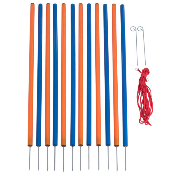 Kit complet Agility pour chien Fun & Sport