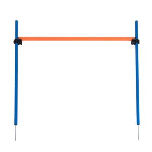 Haie Agility Fun & Sport 1 haie - pour chien