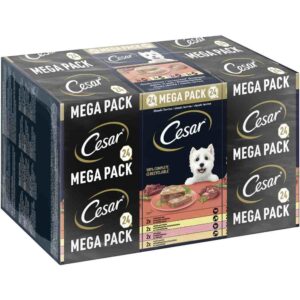 24x150g Cesar Les terrines classiques - Pâtée pour chien