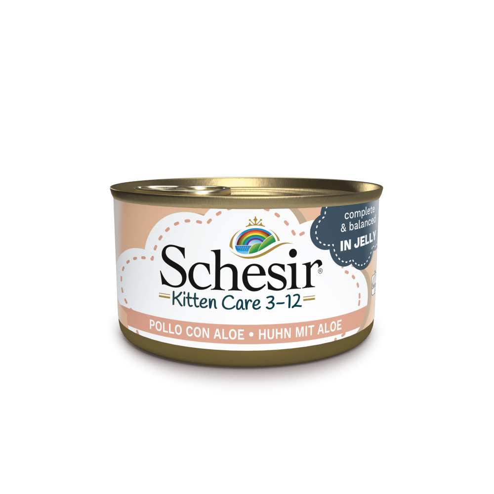 Lot Schesir Kitten en gelée 24 x 85 g pour chaton - filet de poulet