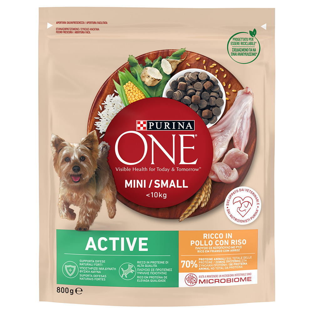PURINA ONE Mini Active poulet