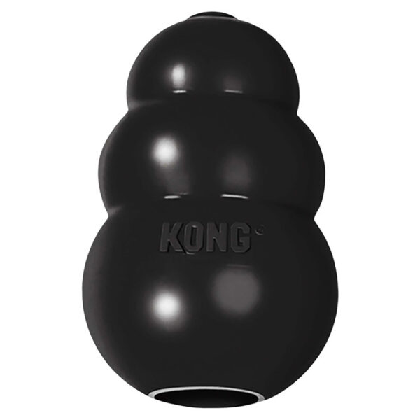 Jouet KONG Extreme pour chien - taille S (7