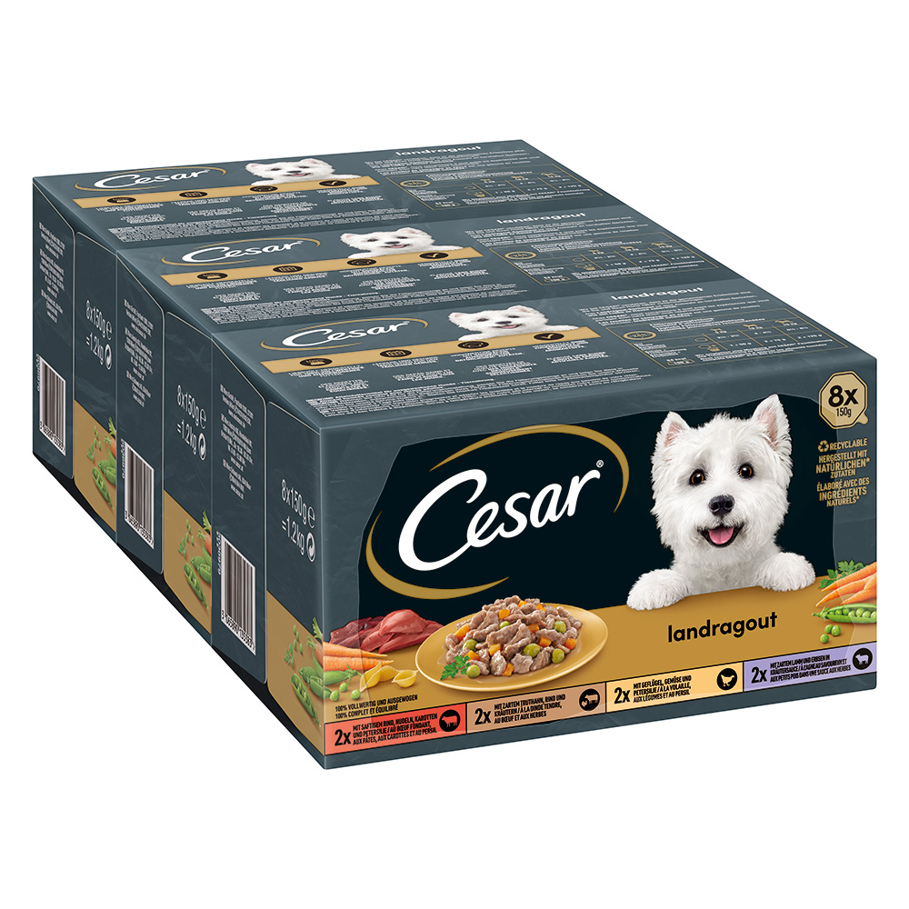 Lot mixte Cesar Les recettes de campagne pour chien - 96 x 150 g