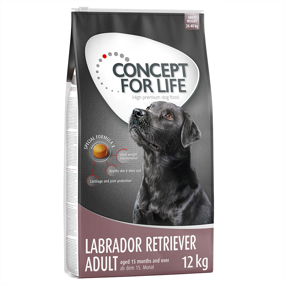 2x12kg Labrador Retriever Adult Concept for Life Croquettes pour chien