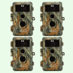 Pack x4 Caméras de Chasse Nocturne Vision 32MP HD 1296P
