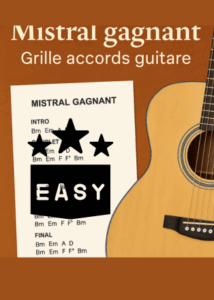 Relevé accords guitare Renaud Mistral Gagnant